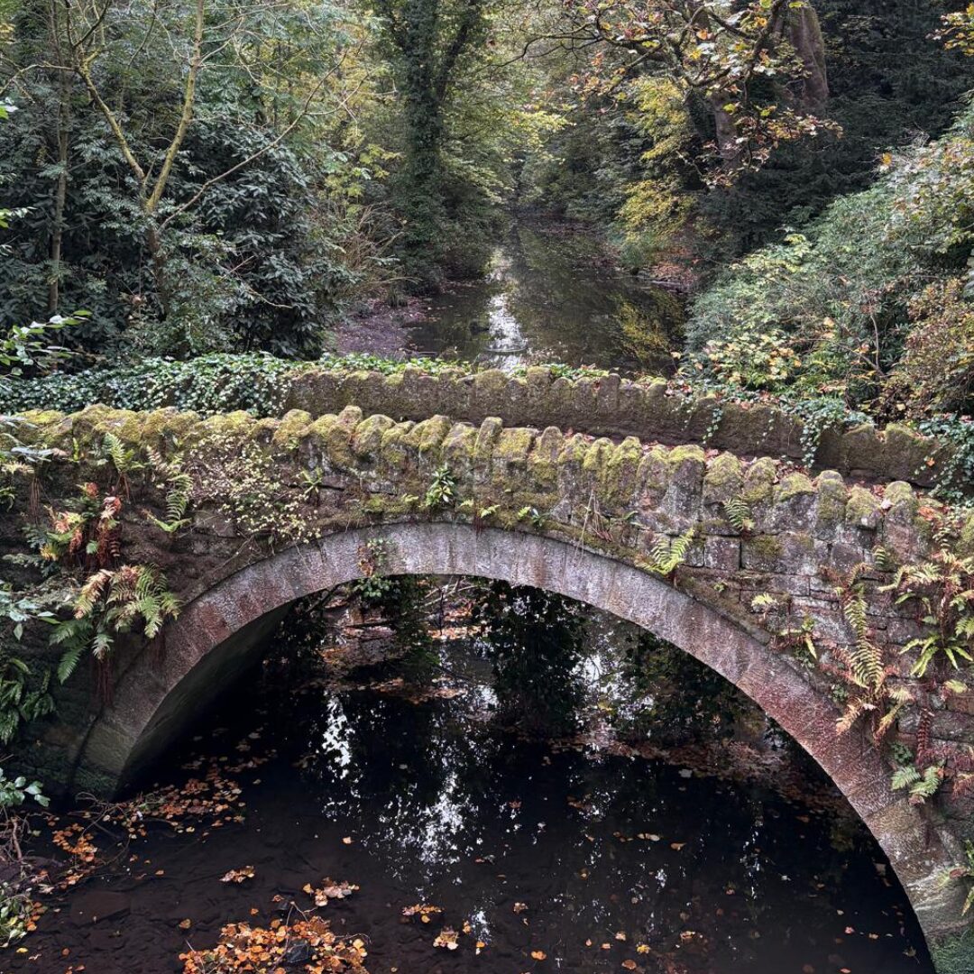 Jesmond Dene Bridge in Jesmond Dene Park